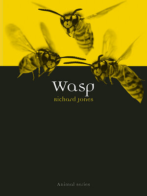 cover image of Wasp